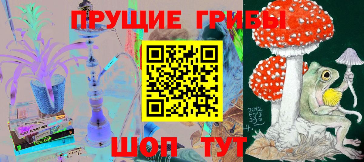 Фрязино  Псилоцибиновые грибы Magic Shrooms  Вход с VPN 